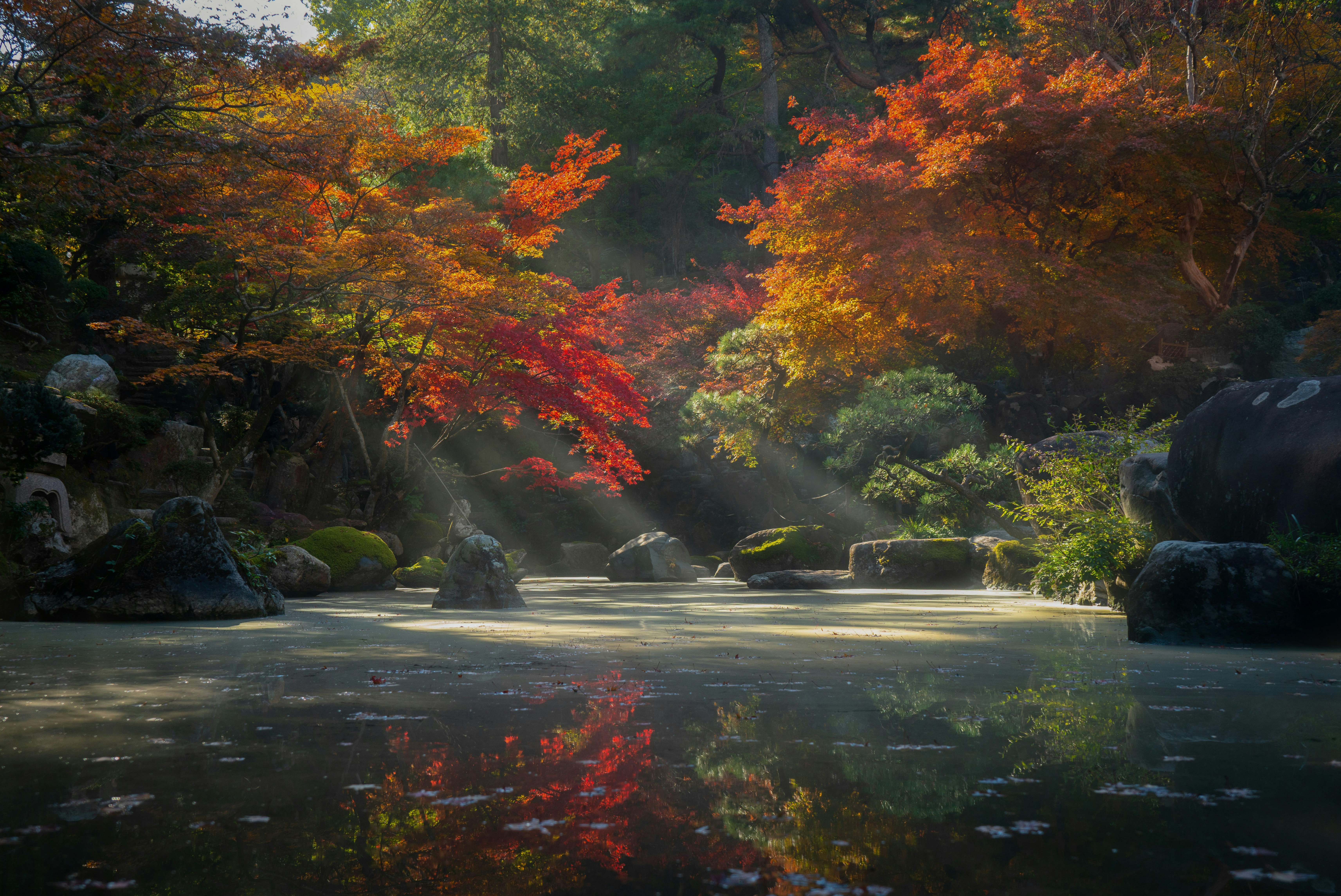 A quiet moment for reflection and learning